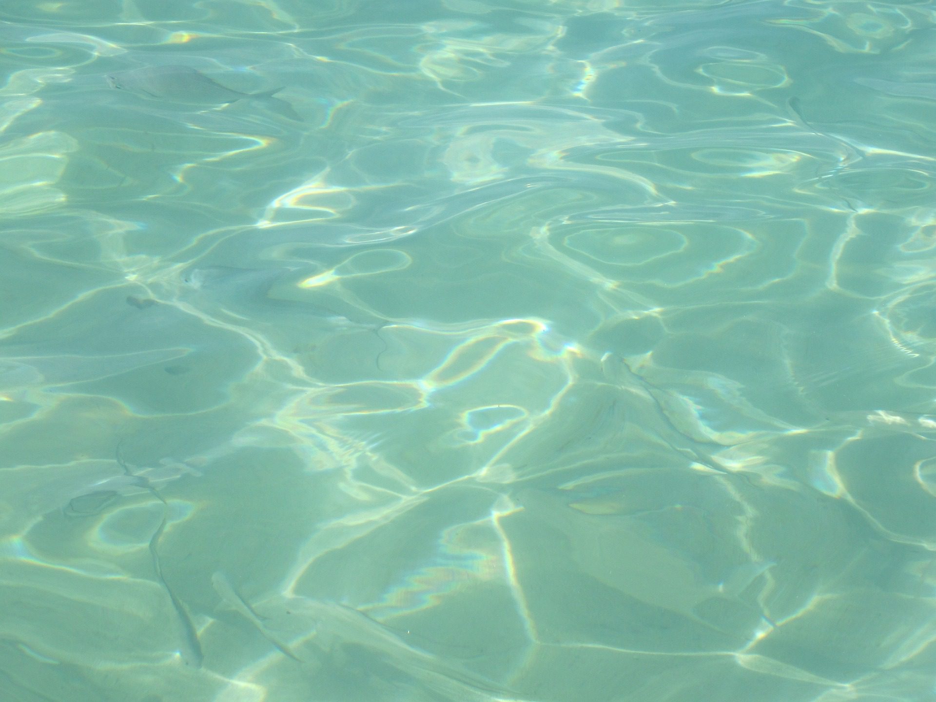 pool repair| CPR Pools