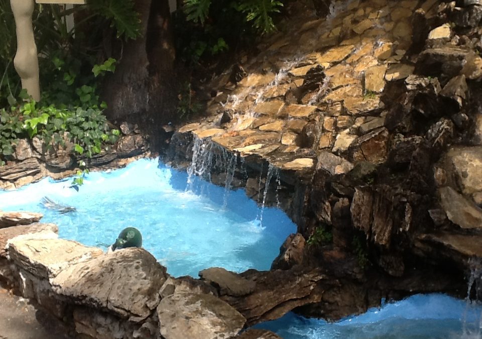 Transform Your Pool into an Experience